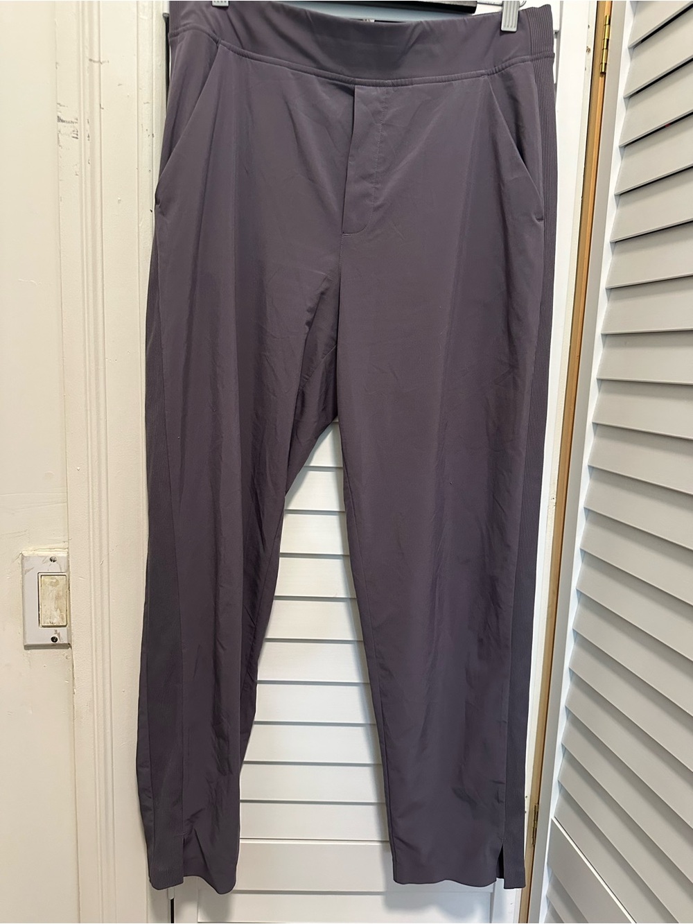 Athleta Men's Slim Travel Pants in Plum